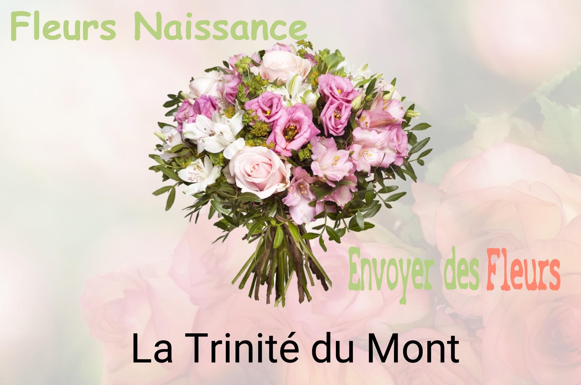 Bouquet de fleurs de naissance livré à La Trinité-du-Mont